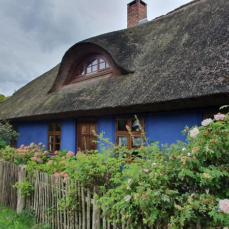 Ferienwohnung Ole Ostseebad Ostseebad Zinnowitz Exterior foto